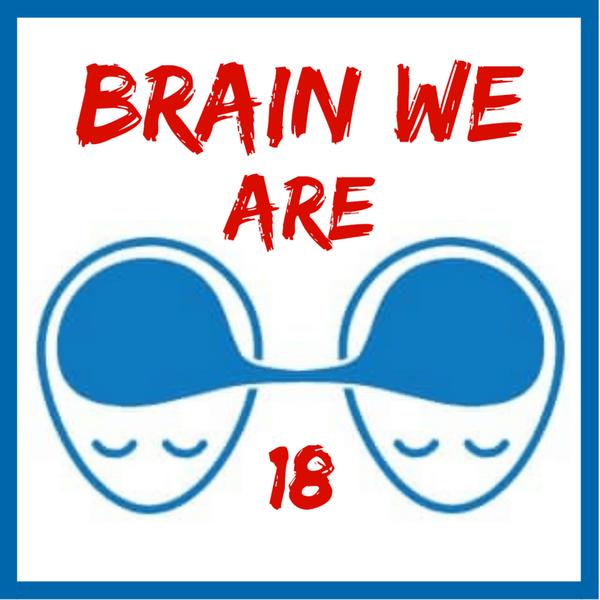 Brain We Are CZ